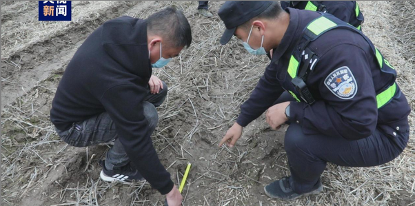 黑龙江密山又现野生东北虎足迹