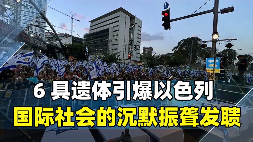 民意滔天！70万人“逼宫”内塔尼亚胡，国际社会的沉默振聋发聩